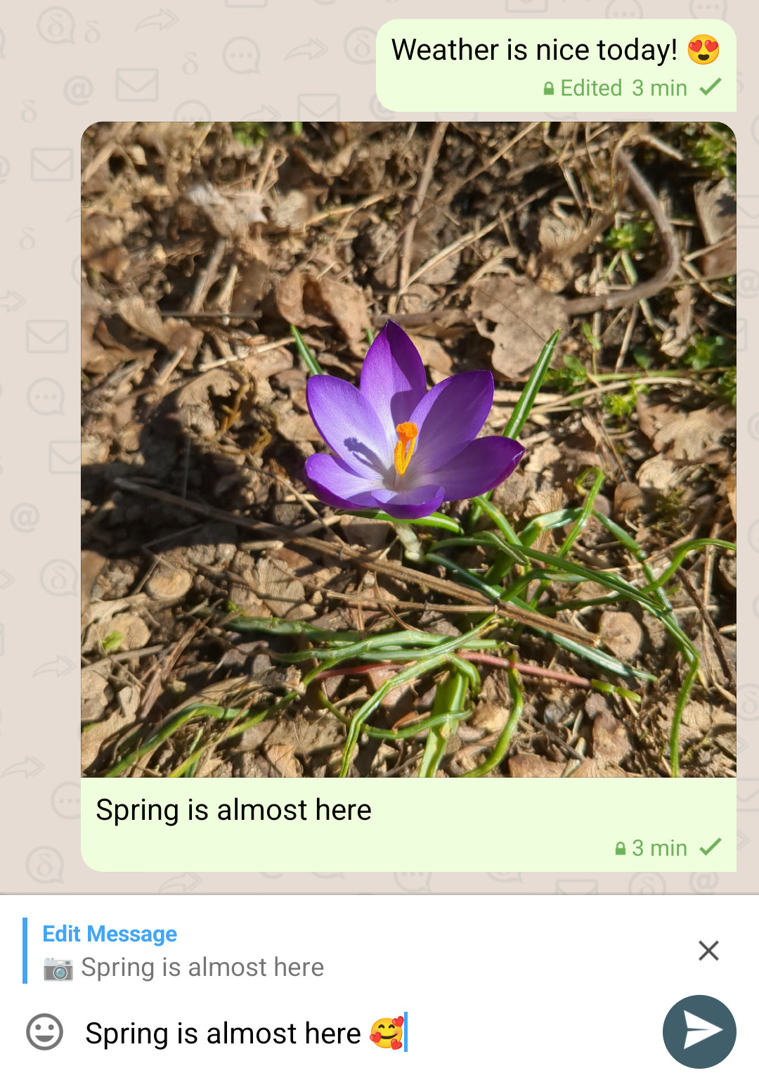 screenshot showing the new edit message feature