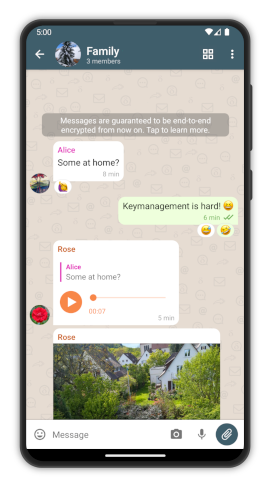 A screenshot of Delta Chat on Android showing a chat